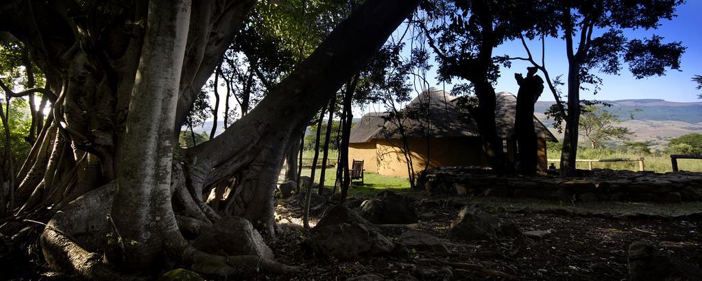 Caracal Lodge Alkmaar Room photo