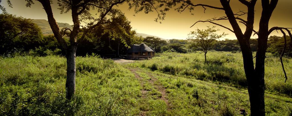 Caracal Lodge Alkmaar Room photo